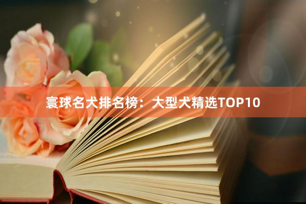 寰球名犬排名榜：大型犬精选TOP10