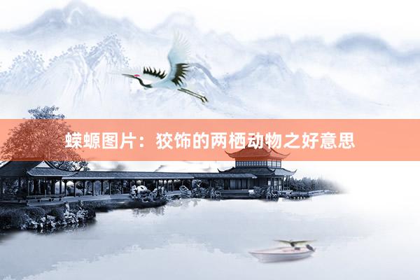 蝾螈图片：狡饰的两栖动物之好意思